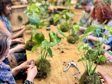 Nos ateliers